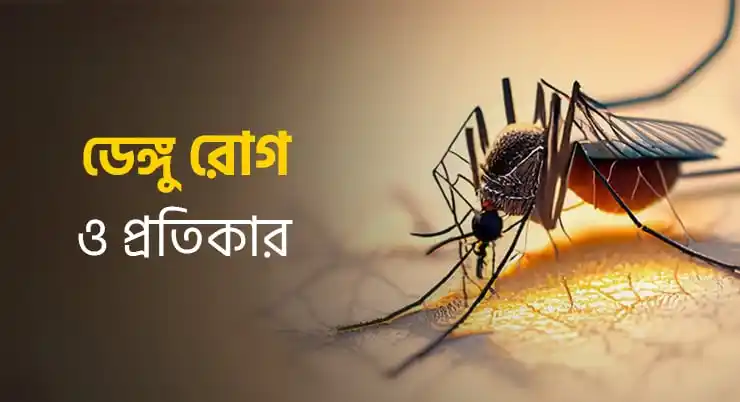 ডেঙ্গু রোগ ও প্রতিকার